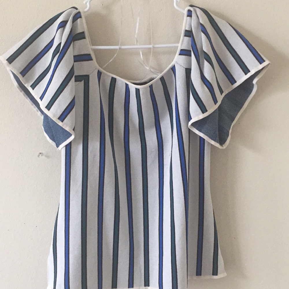 🔵, 💚, and ⚪️ Pinstripe Winged Arm Blouse
